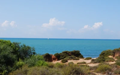 De Sol y Mar: Las Mejores Actividades al Aire Libre en Chiclana